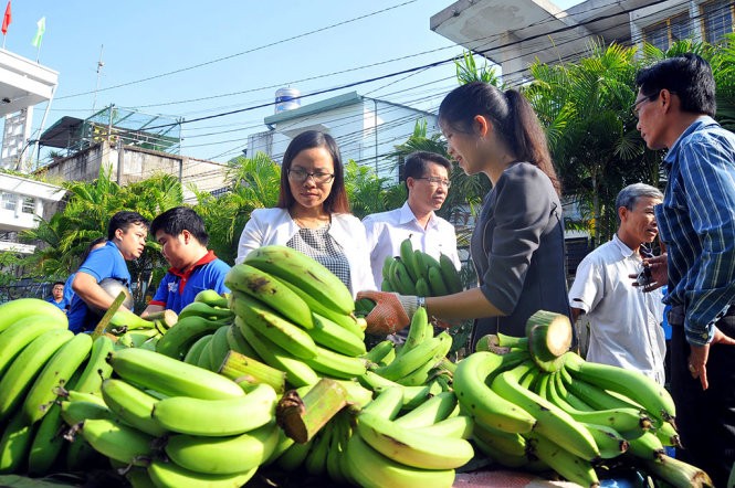 Thành lập ban chỉ đạo 'giải cứu' chuối cho nông dân Đồng Nai