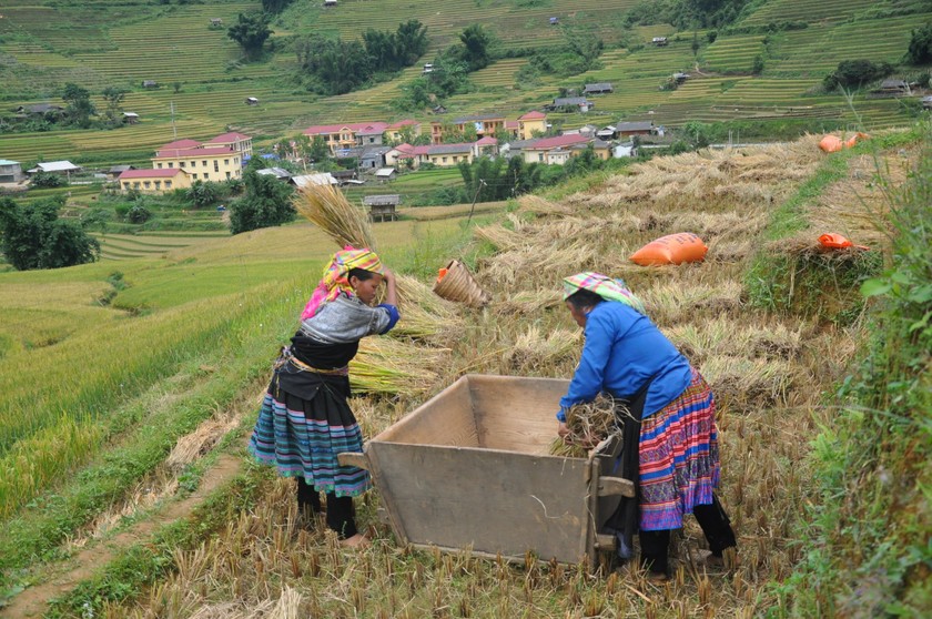 Miễn hay giảm tiền sử dụng đất đối với thôn đặc biệt khó khăn?