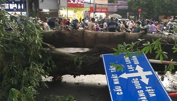 Cơn giông giật đổ nhiều cây trên phố Hà Nội, một người tử vong