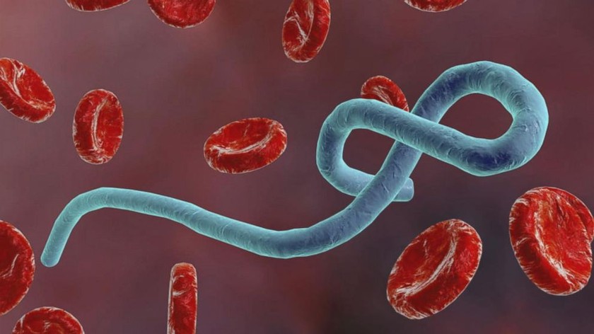 Chính thức cấp phép lưu hành vắc-xin ngừa Ebola