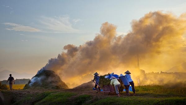 “Không đốt rơm thì vứt đi đâu?”