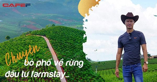 Câu chuyện “bỏ phố về rừng” đầu tư Farmstay của một đại gia Tp.HCM sở hữu 50 căn nhà vườn