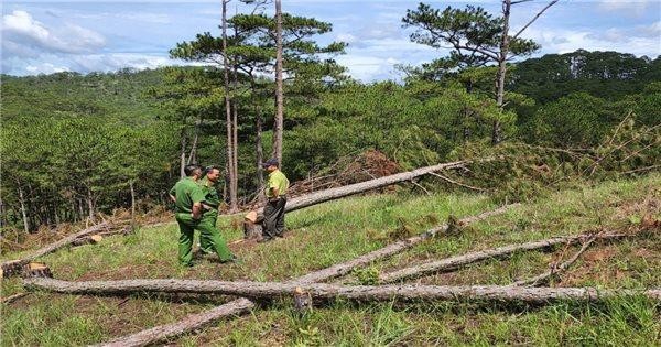 Dạng tội phạm mới cần xử nghiêm 