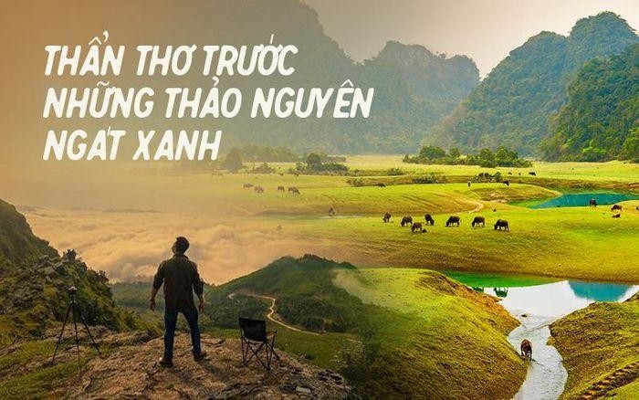 Những 'miền thảo nguyên xanh' ở Việt Nam khiến du khách lưu luyến từ cái nhìn đầu tiên