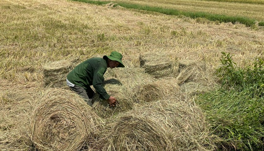 Mướt mồ hôi vì phải làm việc trong môi trường nắng nóng.