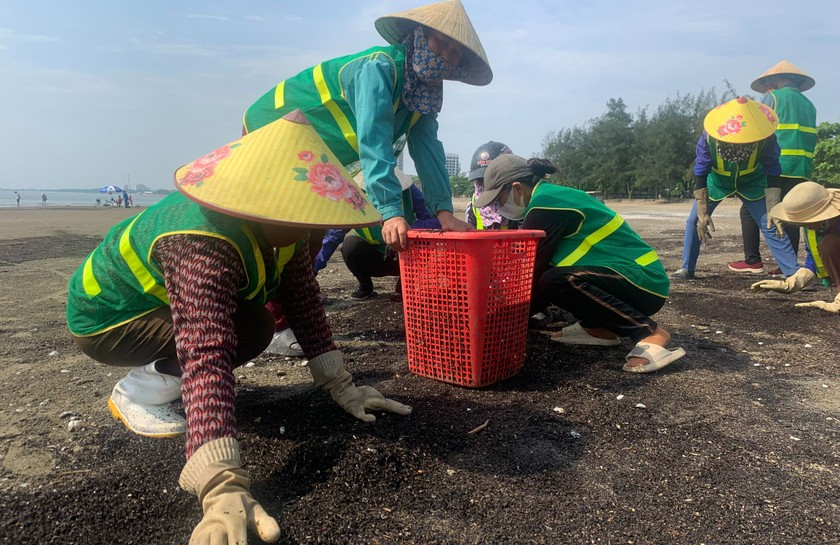 Thu dọn rác ven biển tại Lễ phát động Tháng hành động Quốc gia vì Môi trường và Tuần lễ Biển và Hải đảo Việt Nam. 