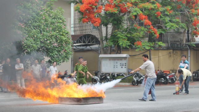 Ảnh chỉ mang tính chất minh họa. Nguồn Internet