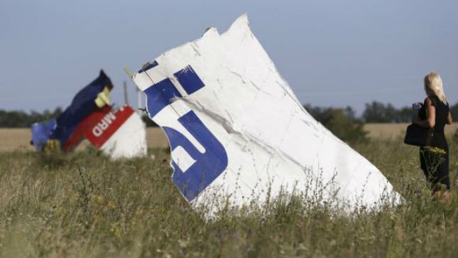 Một phụ nữ bên mảnh vỡ của chiếc MH17. Ảnh: Reuters