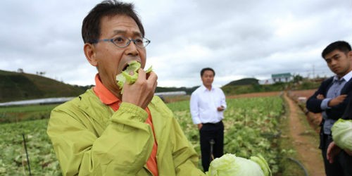 “Đại gia” Nhật giúp người nông dân Việt bớt khổ