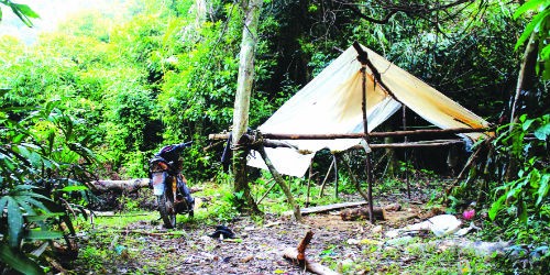 Men theo con đường “lâm tặc” vào rừng Thù Lù, cứ cách 100 m thì bắt gặp một lán tạm, do “lâm tặc” để lại từ những mùa gỗ năm trước