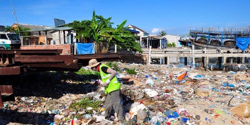 Anh Đào Việt giữa muôn trùng… rác biển