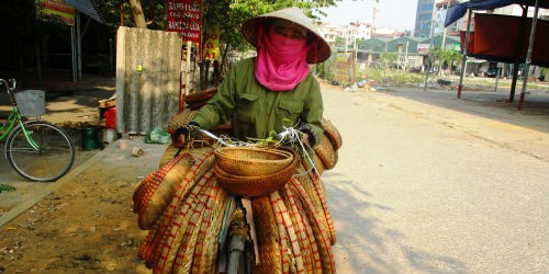 Giấc mơ từ gánh hàng nan