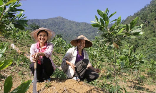 Ảnh minh họa (Ban tổ chức cung cấp)