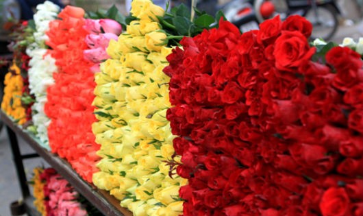Đa dạng chủng loại hoa ở các chợ hoa Hà Nội