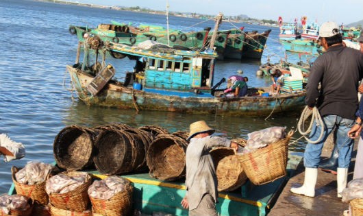 “Lộc biển” đầu xuân trên làng chài Phước Tỉnh