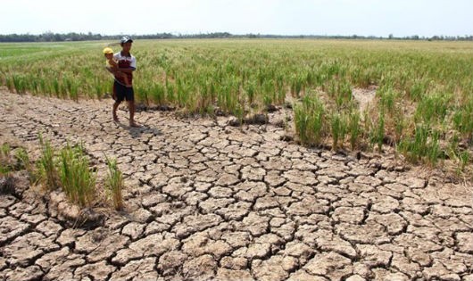 Người ĐBSCL mua nước ngọt giá “cắt cổ”, miền Bắc El Nino vẫn đeo đẳng