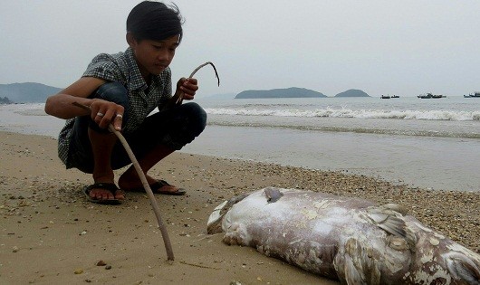 Sự cố môi trường ảnh hưởng nghiêm trọng đến đời sống ngư dân 4 tỉnh 
miền Trung