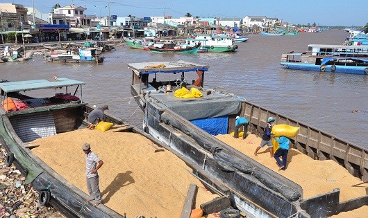 Nông dân bán nông sản cho các thương lái