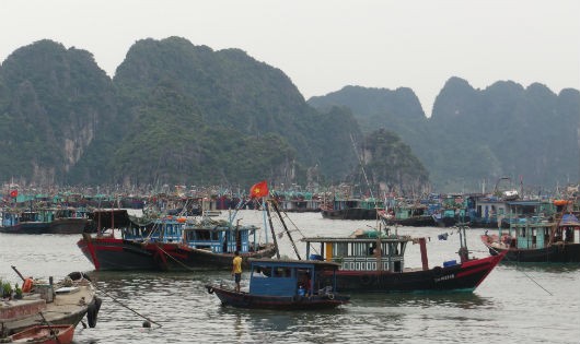 Các tàu bè vào khu vực gần núi Bài Thơ (TP.Hạ Long) để tránh trú cơn bão số 3