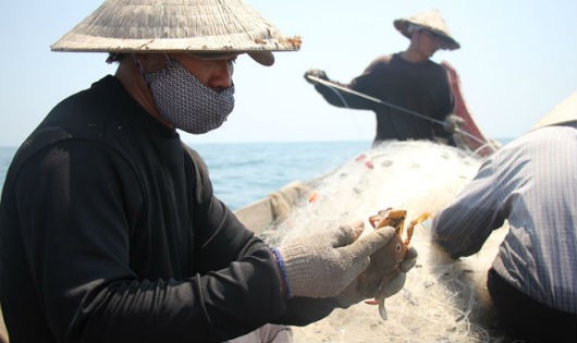 Trong khuyến cáo mới nhất, Bộ NN&PTNT đưa ra một số vùng ngư dân chưa nên khai thác hải sản