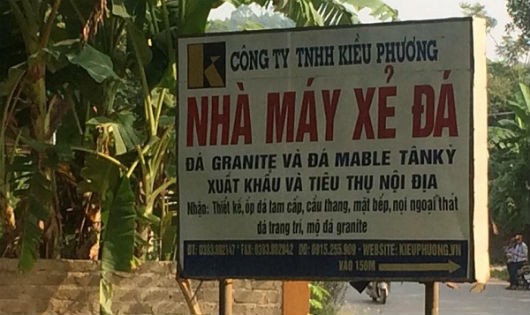 Xưởng gỗ dăm Kiều Phương nằm trong nhà máy xẻ đá của công ty TNHH Kiều Phương hoạt động hơn 1 tháng qua