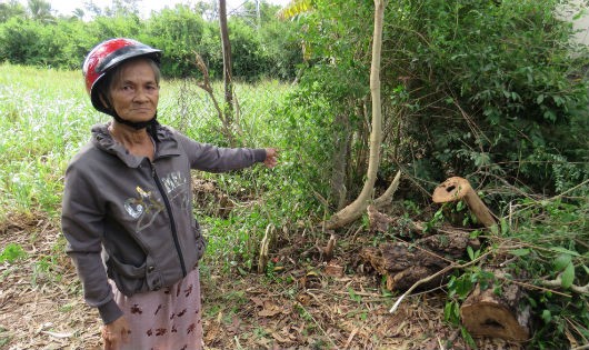 Bà Thơ bên góc vườn vừa bị bà Trâm thuê người đến phát dọn để làm đường đi