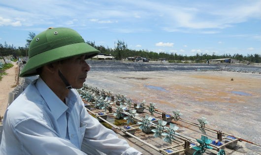 Ông Thương ngồi thẫn thờ bên hồ tôm bỏ hoang, nhiều tháng nay ông không dám về nhà vì thấy có lỗi với vợ con