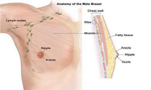 Tỷ lệ mắc ung thư vú nam thấp nhưng tiên lượng xấu