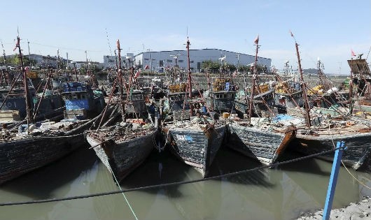 Một số tàu cá Trung Quốc bị bắt giữ khi đánh bắt trái phép trong vùng biển của 
Hàn Quốc. Ảnh: AP