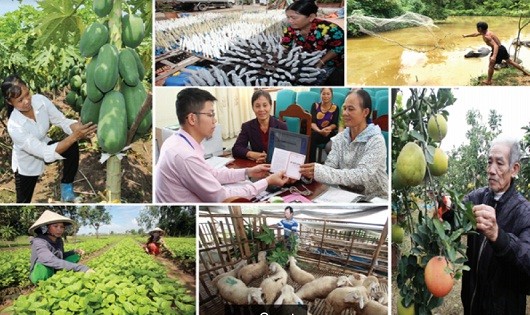 Tăng trưởng dư nợ tín dụng chính sách năm 2016 đạt 10%