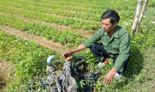 Ông Đoàn Thế Thành cho rằng đã khoan giếng chống hạn, nhưng đến nay chưa nhận được tiền hỗ trợ