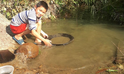 Trẻ con trong vùng nghỉ học cũng cầm theo mâm gỗ ra khe suối đãi quặng