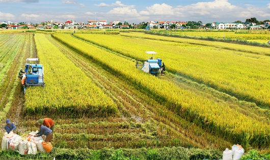 Đất nông nghiệp chưa được coi là hàng hóa và có thể trao đổi ngang giá khiến nguồn lực đầu tư của người nông dân bị hạn chế