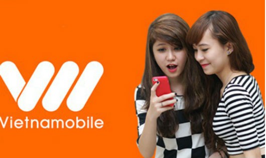 Nhiều thông tin thuê bao của Vietnamobile có nơi cấp là các tỉnh nhưng lại nhập thành nơi cấp là Tp.HCM, chứng minh thư 2 mặt không khớp nhau…