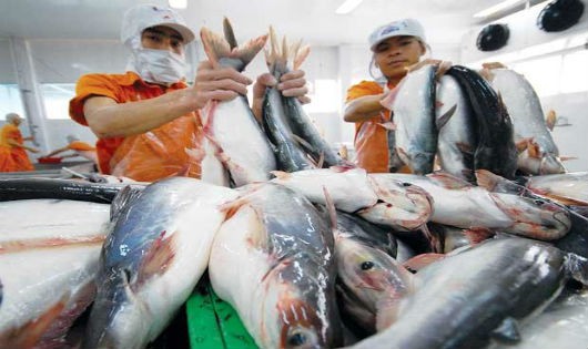 Với đà tăng trưởng ấn tượng, ngành Nông nghiệp tin tưởng sẽ hoàn thành các chỉ tiêu Chính phủ đặt ra. (Ảnh minh họa)