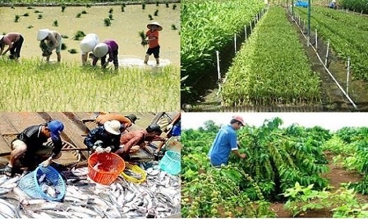 Hỗ trợ nông nghiệp 2.000 tỷ đồng/năm: “Một cánh én nhỏ” có làm nên “Mùa Xuân”?