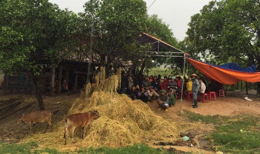 Gia đình gặp đại họa vì gã con rể côn đồ