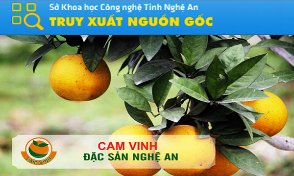 Thông tin về nguồn gốc cam khi truy xuất