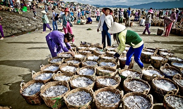 Việc tăng cường thẩm quyền quản lý cho địa phương có giải quyết hiệu quả tình trạng nguồn lợi hải sản ven bờ bị khai thác quá mức?