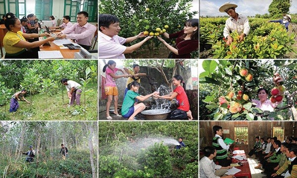 Vốn vay chính sách đã giúp cho nhiều hộ có nước sạch để dùng, có cả rừng keo thoát nghèo bền vững