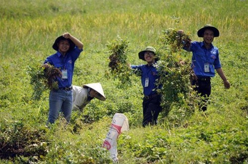 Các chiến sĩ Mùa Hè Xanh không ngại gian khó khi tham gia các hoạt động tình nguyện