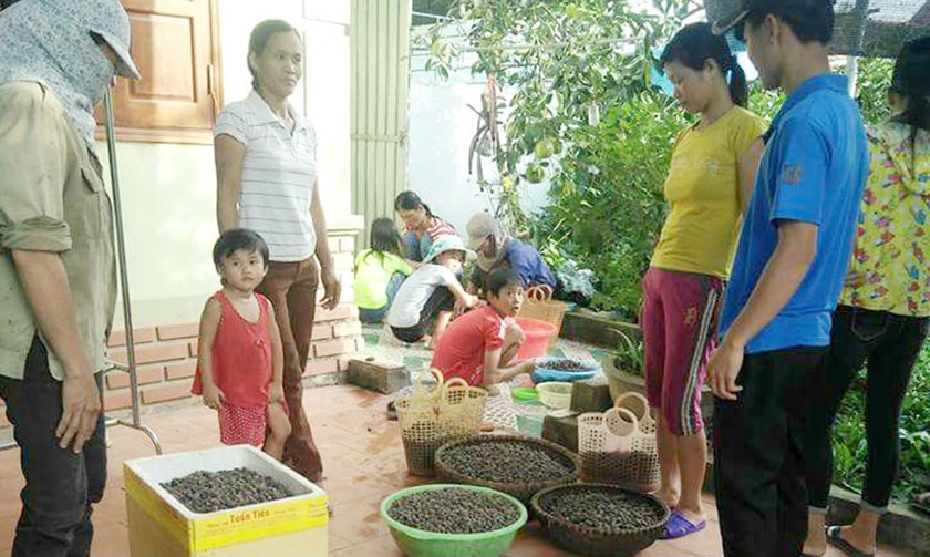 “Lộc rừng” đến với người dân Quế Phong