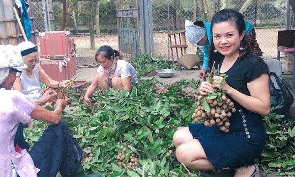 Đạt tiêu chuẩn ATTP, nhãn chín muộn Đại Thành vươn ra thị trường nước ngoài