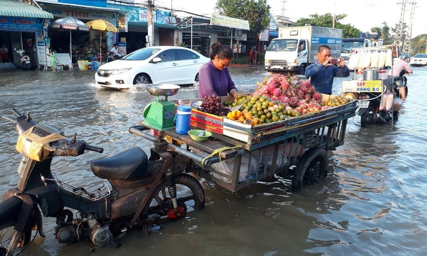 Triều cường dâng cao, làm tuyến Quốc lộ 1A qua địa bàn tỉnh Bạc Liêu bị ngập sâu, cuộc sống người dân bị đảo lộn, giao thông qua khu vực gặp nhiều khó khăn.