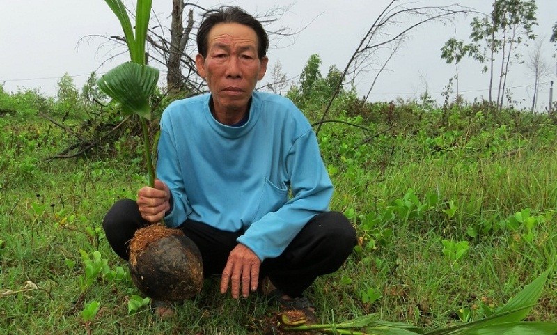 Ông Nguyễn Ngọc Sáng cầm trên tay những cây dừa non vừa bị phá