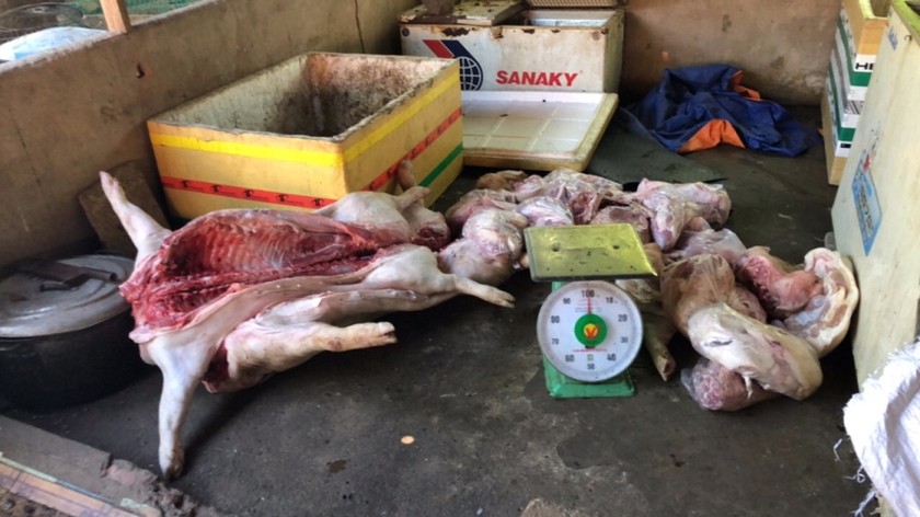 Đồng Nai: Bắt giữ hàng tấn heo chết mổ thịt bán cho người tiêu dùng