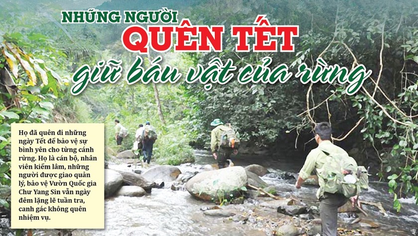 Những người quên Tết giữ báu vật của rừng