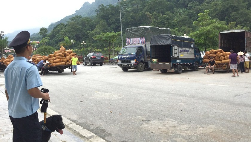 Một trong những kết quả góp phần vào nguồn thu NSNN của ngành Hải quan là công tác chống buôn lậu và gian lận thương mại