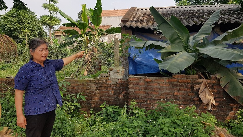 Trang trại gà xây trái phép trên đất nông nghiệp của gia đình ông Trần Văn Yên (thôn Đồng Mận, xã Kim Long, huyện Tam Dương) gây ô nhiễm môi trường là nguồn cơn gây tranh chấp, mâu thuẫn giữa hai hộ gia đình suốt 10 năm