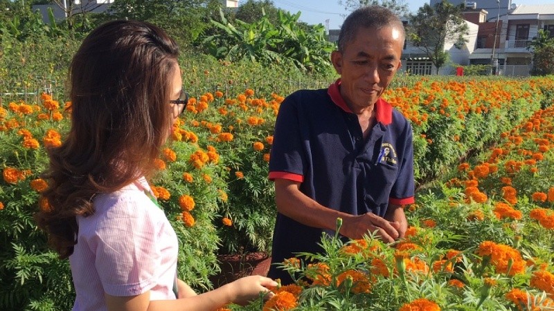 Ông Nguyễn Thanh Lâm - hộ vay vốn chính sách ở phường Hoà Xuân (TP Đà Nẵng) phát triển nghề trồng hoa.  Ảnh: Q.Cảnh, N.Tú